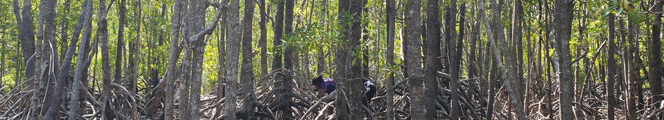 Culture day girls mangroves1.jpg